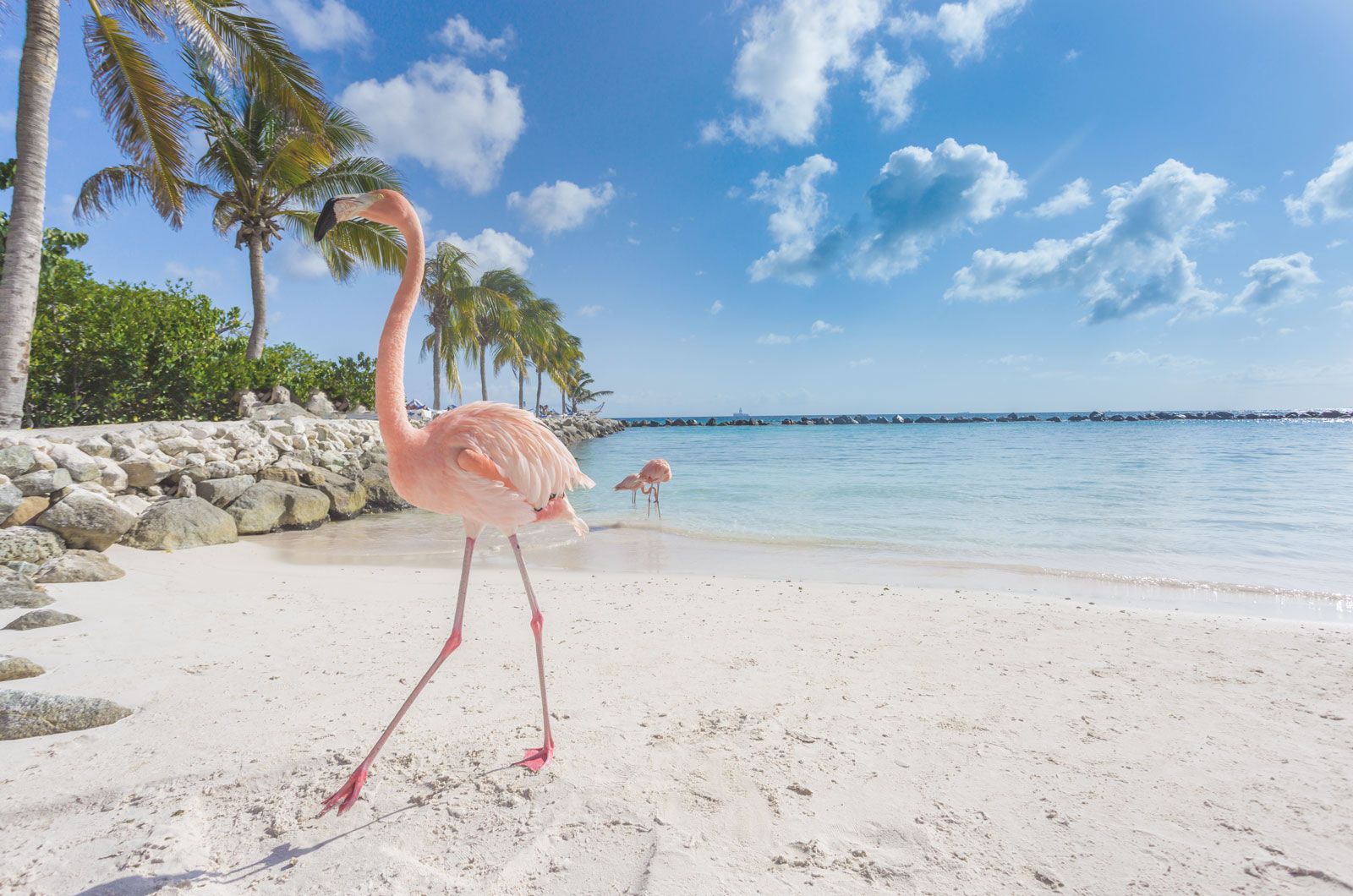 Caribbean eSIM 16 Country 1 Caribbean eSIM 16 Country