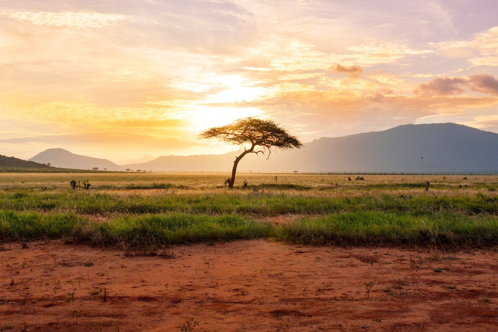 Kenya eSIM 1 Kenya eSIM