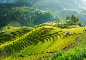 Greater China Taiwan eSIM 4 Country